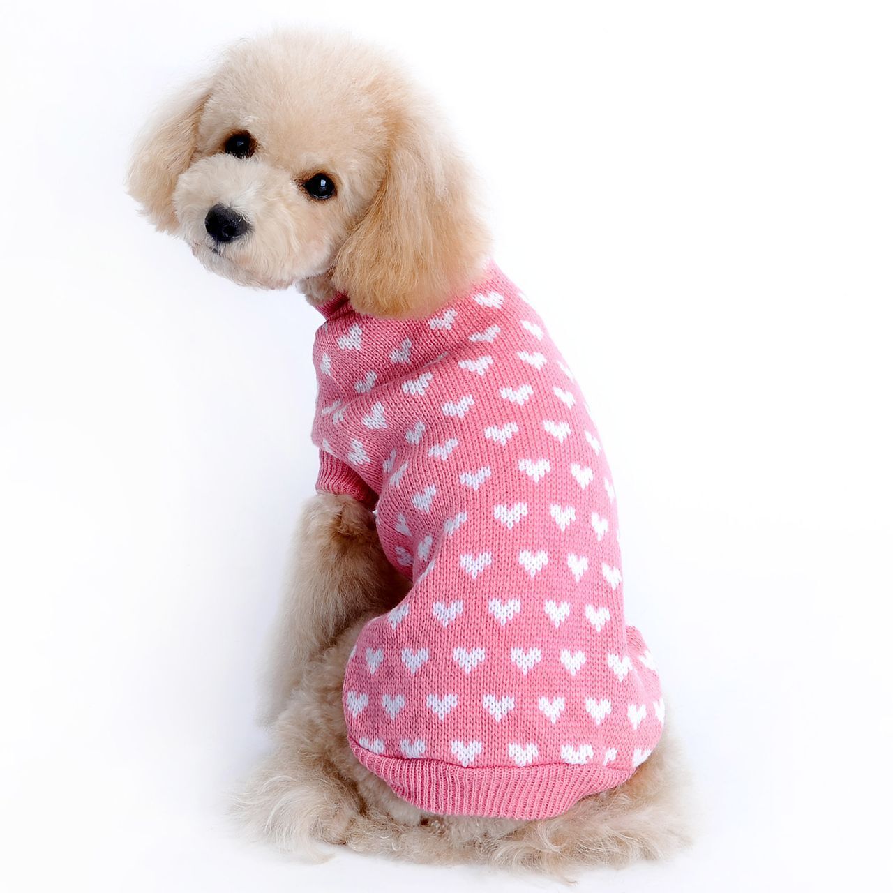[BND-W41] 강아지옷 하트 니트 스웨터